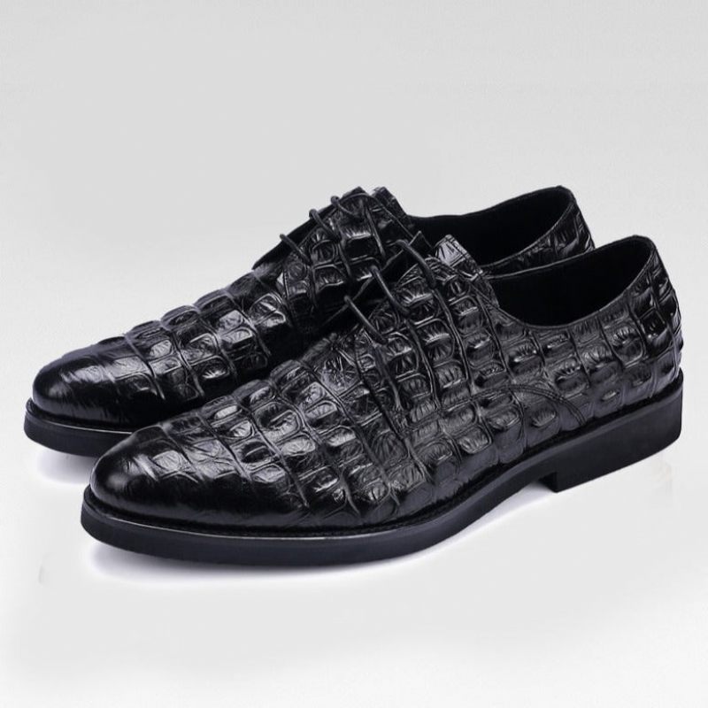 Sapatos Formais Masculinos Opulento Couro Crocodilo Oxford Lace-up Casuais - Preto