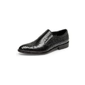 Sapatos Formais Masculinos Opulentos Calçados Croctex Slip-on