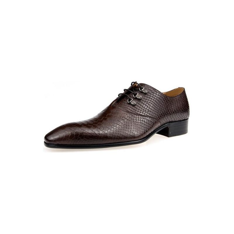 Sapatos Formais Masculinos Opulentos Crocprint Dedo Apontado Oxford - Café