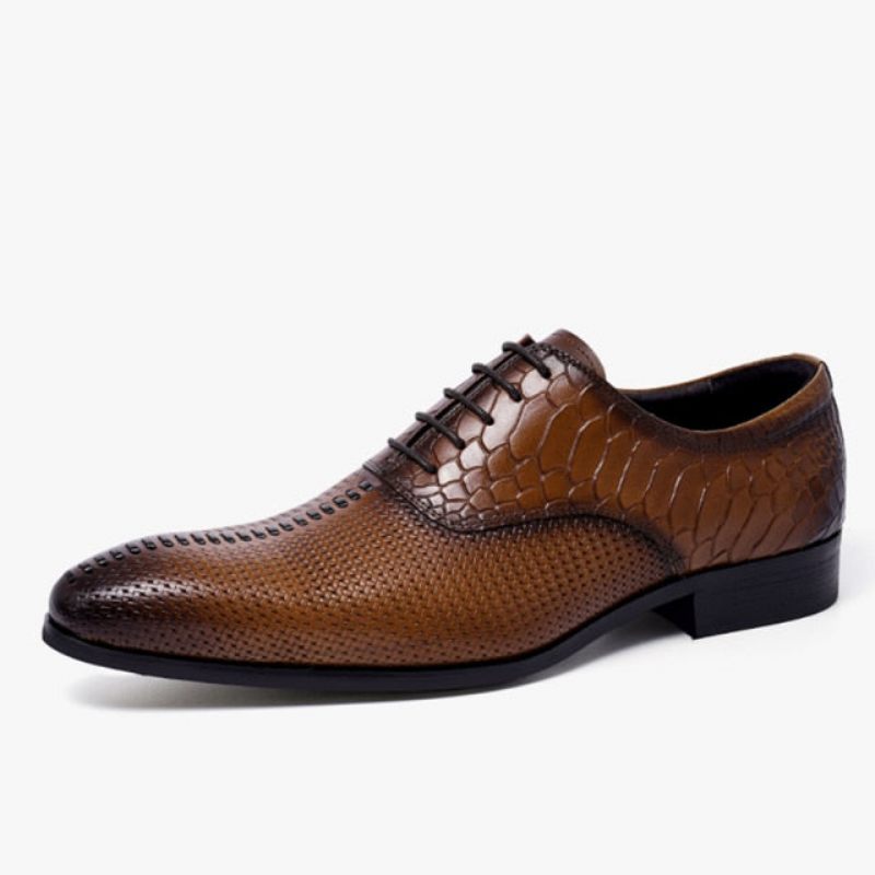 Sapatos Formais Masculinos Opulentos E Luxuosos Sociais Bico Fino - Café