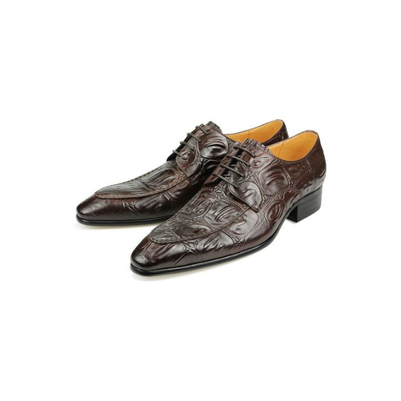 Sapatos Formais Masculinos Opulentos Luxuosos Bico Fino Sociais Derby - Café