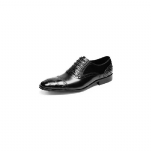 Sapatos Formais Masculinos Opulentos Sociais Croctex Oxford