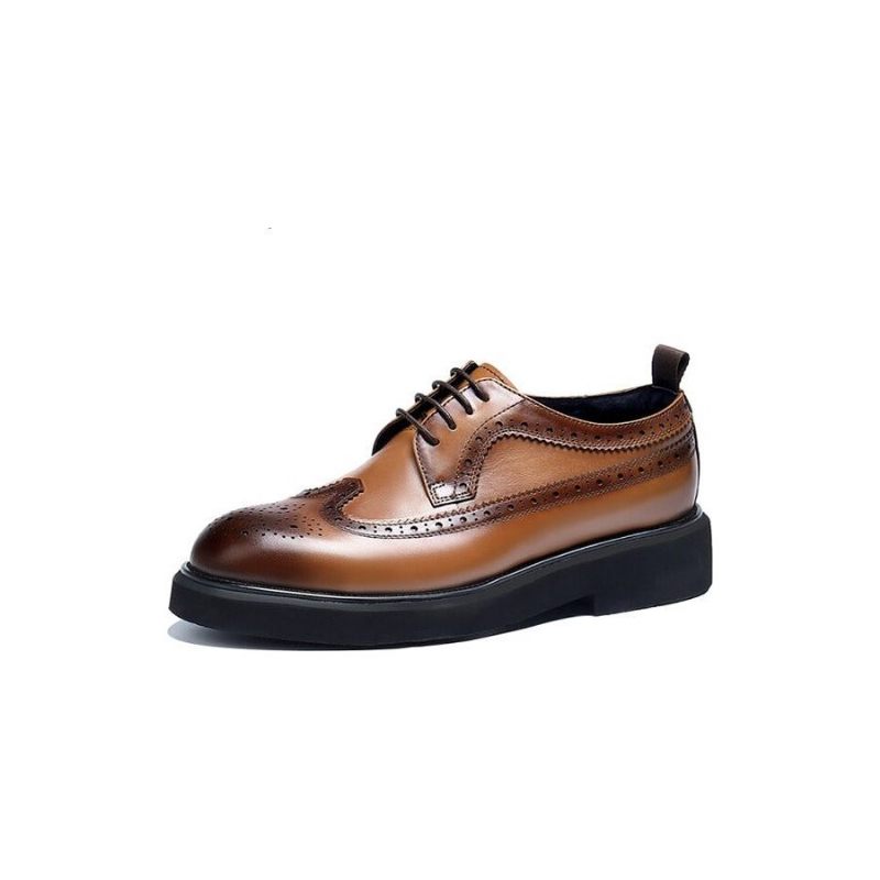 Sapatos Formais Masculinos Oxford Clássicos - Marrom