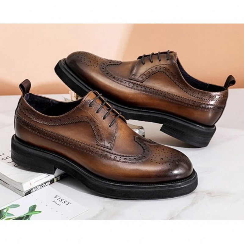 Sapatos Formais Masculinos Oxford Clássicos - Marrom