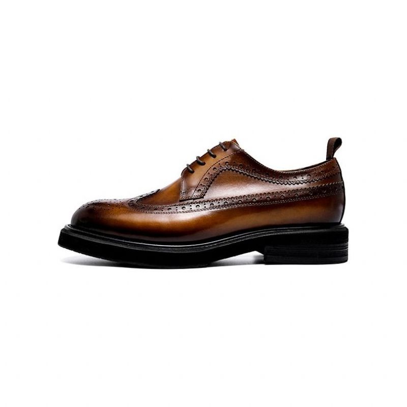 Sapatos Formais Masculinos Oxford Clássicos - Marrom