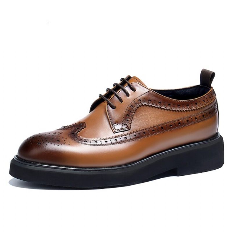 Sapatos Formais Masculinos Oxford Clássicos - Marrom