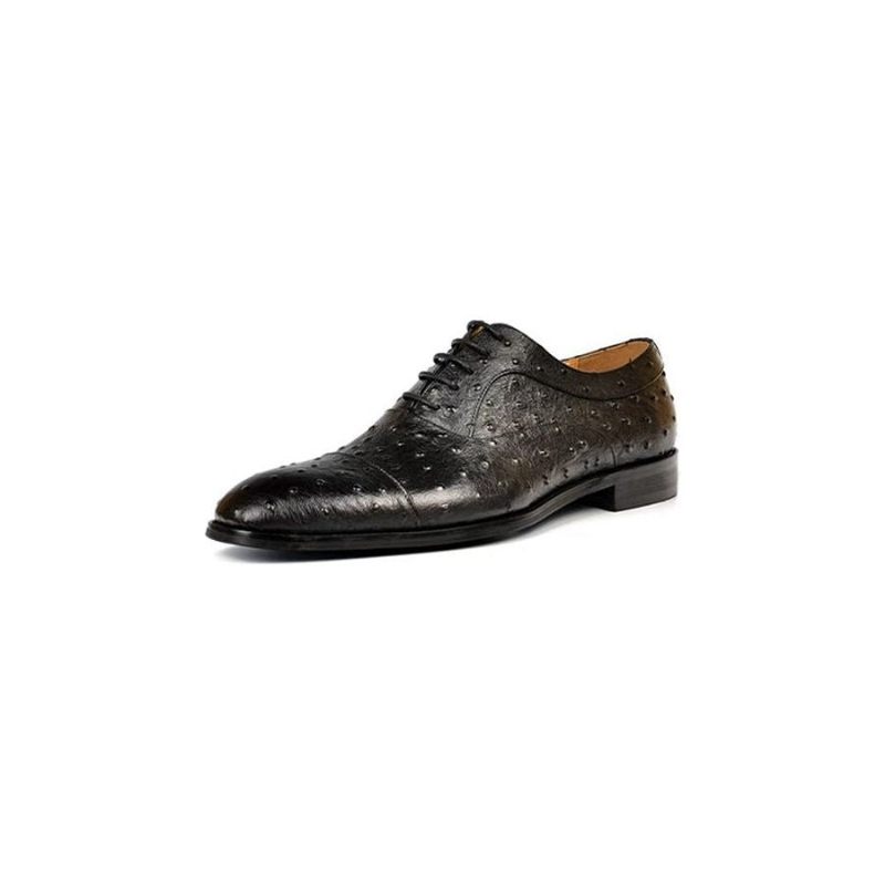 Sapatos Formais Masculinos Padrão Exótico Sofisticados Oxford