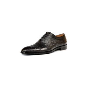 Sapatos Formais Masculinos Padrão Exótico Sofisticados Oxford