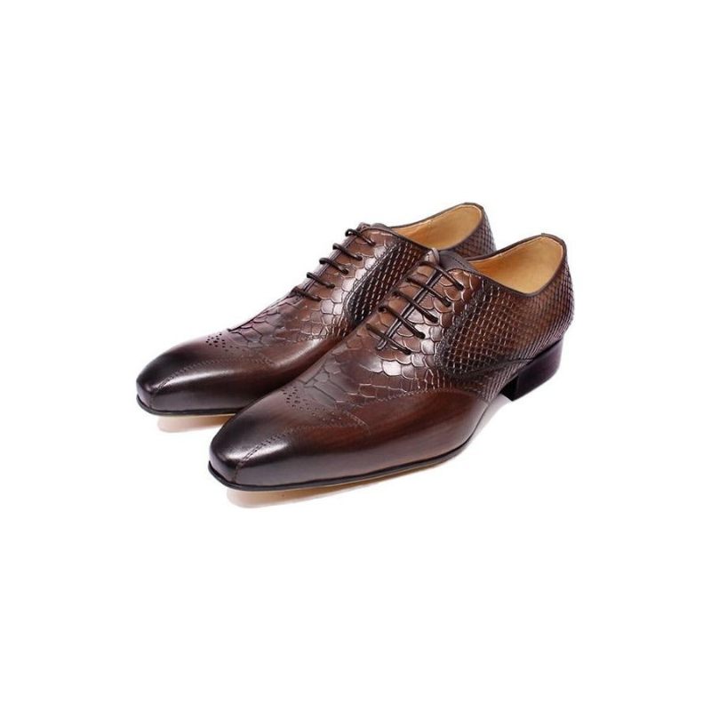 Sapatos Formais Masculinos Pele Cobra Elegância Com Cadarço Brogue - Café