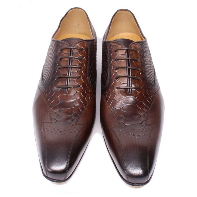 Sapatos Formais Masculinos Pele Cobra Elegância Com Cadarço Brogue - Café