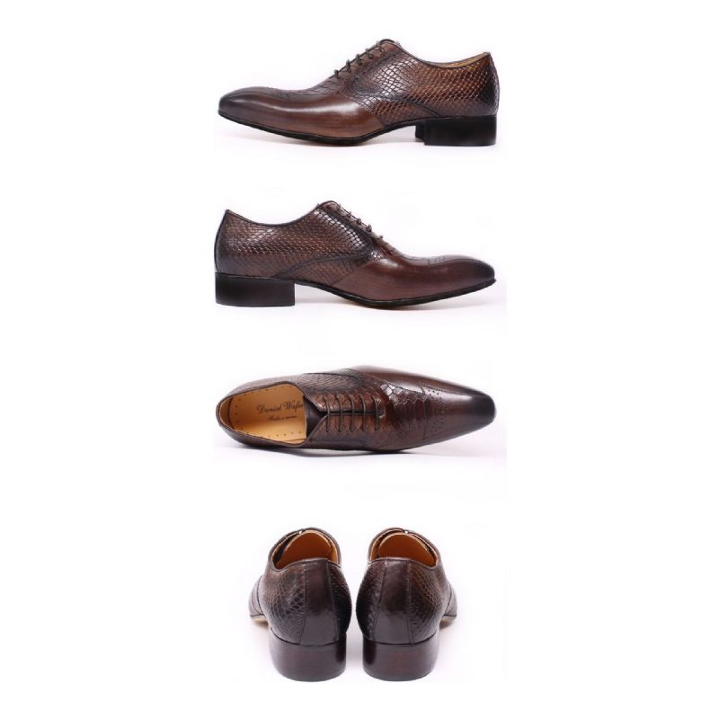 Sapatos Formais Masculinos Pele Cobra Elegância Com Cadarço Brogue - Café