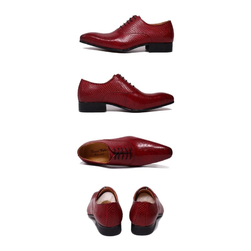 Sapatos Formais Masculinos Pele Cobra Elegância Feitos À Mão Bico Fino Oxford - Vermelho