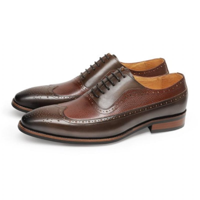 Sapatos Formais Masculinos Pontiagudos Com Cadarço Brogues - Café