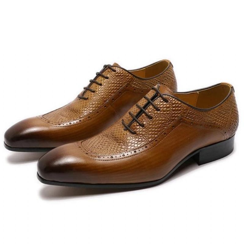 Sapatos Formais Masculinos Requintados Oxford Bico Fino - Café