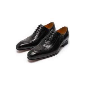 Sapatos Formais Masculinos Requintados Oxford Bico Fino