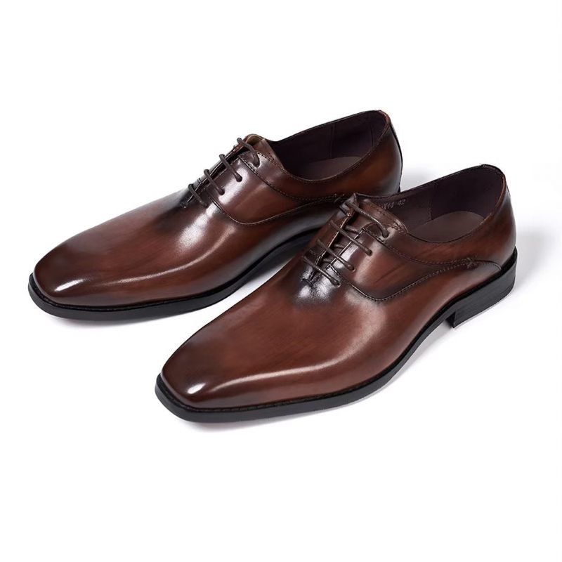 Sapatos Formais Masculinos Sartorial Splendor Dress Calçado - Marrom