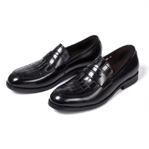 Sapatos Formais Masculinos Sartorial Splendor Slip-on Sociais