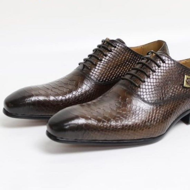 Sapatos Formais Masculinos Serpente Exótica Dedo Apontado Oxford - Café