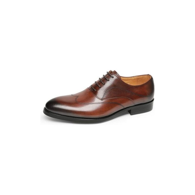 Sapatos Formais Masculinos Sociais Exóticos Com Cordões Oxford - Café