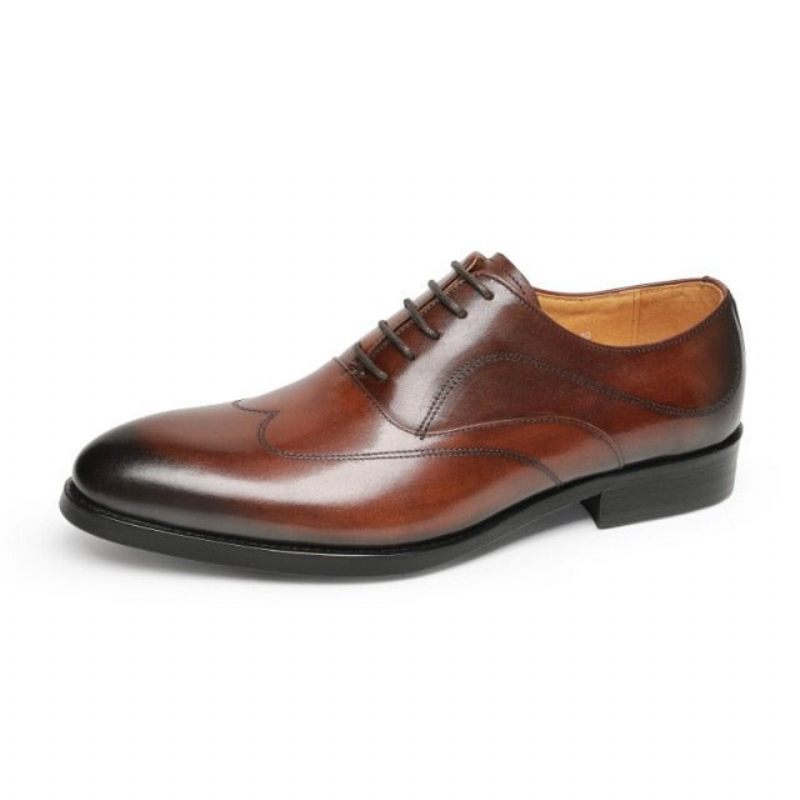 Sapatos Formais Masculinos Sociais Exóticos Com Cordões Oxford - Café