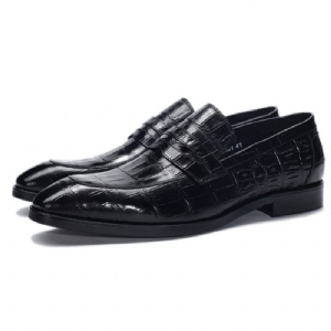 Sapatos Formais Masculinos Textura Exótica Slip-on Brogue