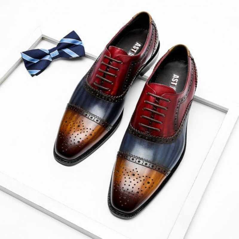 Sapatos Formais Masculinos Wingtip Leather Lace-up Oxfords - Exótico