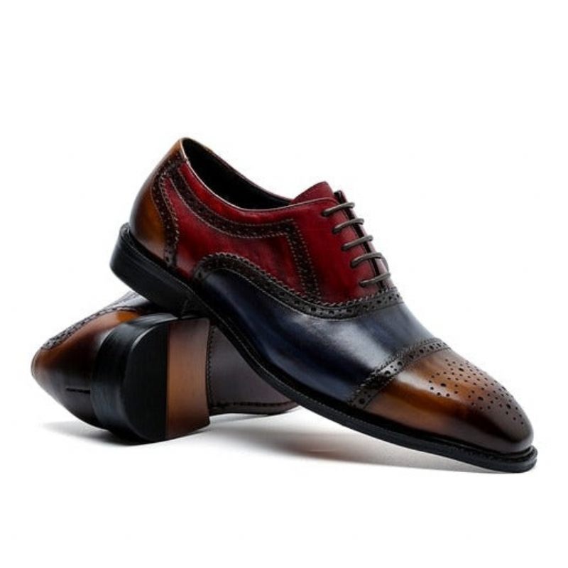 Sapatos Formais Masculinos Wingtip Leather Lace-up Oxfords - Exótico