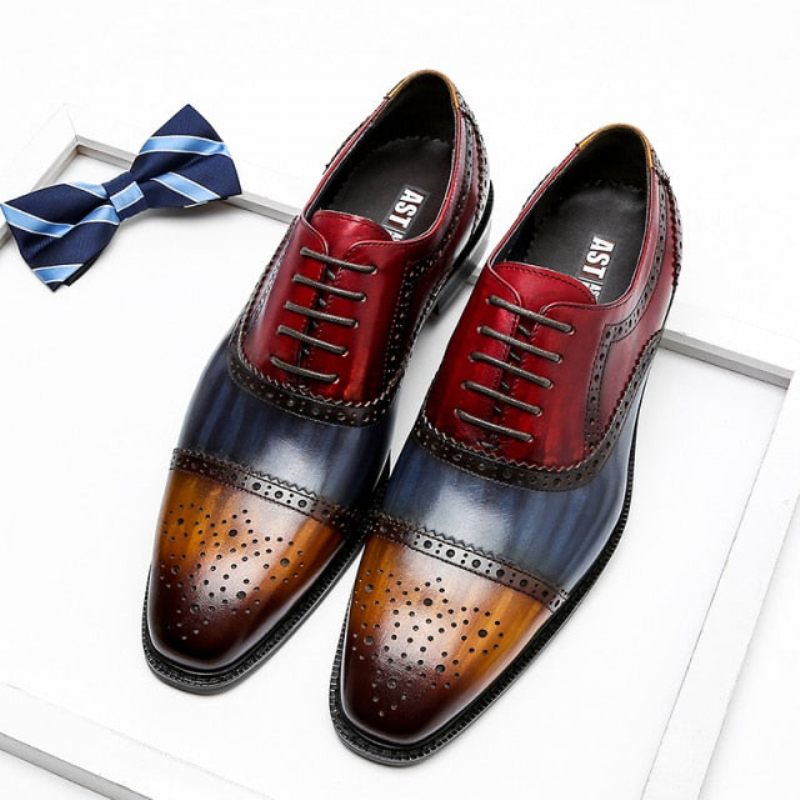 Sapatos Formais Masculinos Wingtip Leather Lace-up Oxfords - Exótico