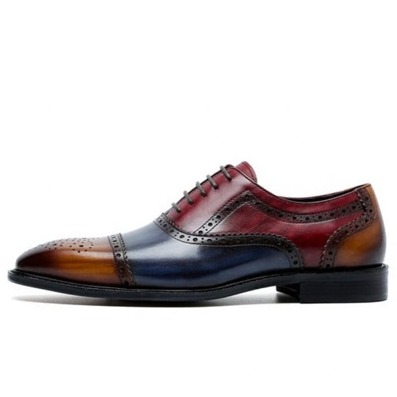 Sapatos Formais Masculinos Wingtip Leather Lace-up Oxfords - Exótico