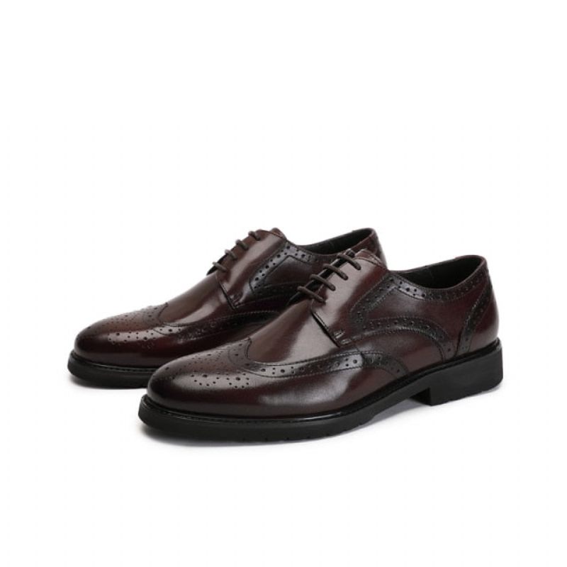 Sapatos Formais Masculinos Wingtip Luxo Exótico Bico Fino Oxford Brogues - Café